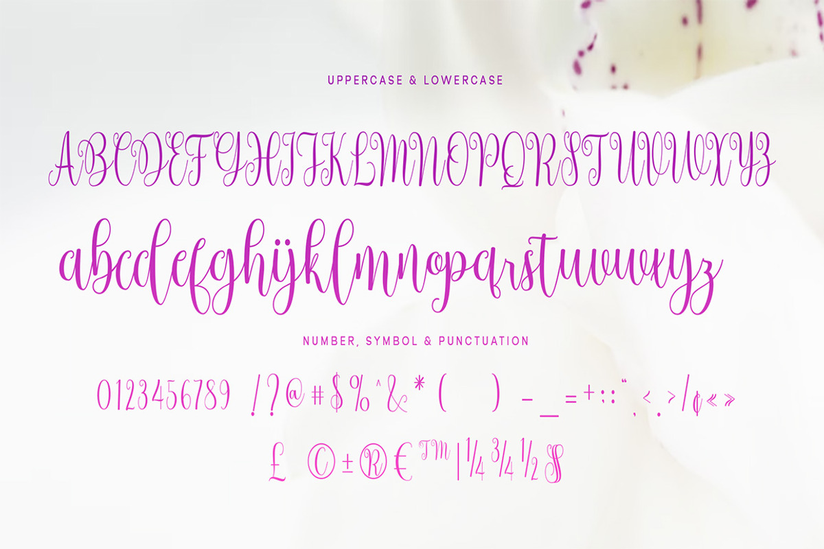 Bostek, a Script Font by Gatype (Photo 8 of 9)