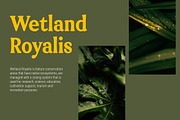Weekenia Bold Rounded, a Serif Font by Versetype (Thumbnail 5 of 11)