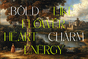 Silence Night Elegant Sans Serif, a Sans Serif Font by timelesstype.co (Thumbnail 3 of 10)