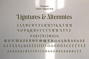 Orchestra - Modern Elegant Serif, a Serif Font by RagamKata (Thumbnail 13 of 13)