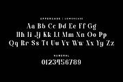 Ostir Agobelt Feminine Elegant Font, a Serif Font by QR Design Studio (Thumbnail 6 of 13)