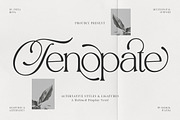 Tenopate, a Serif Font by Pista Mova (Thumbnail 1 of 20)