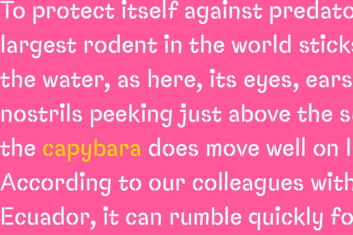 Capybara Stencil + Cyrillic, a Sans Serif Font by Rodrigo Typo (Photo 5 of 5)