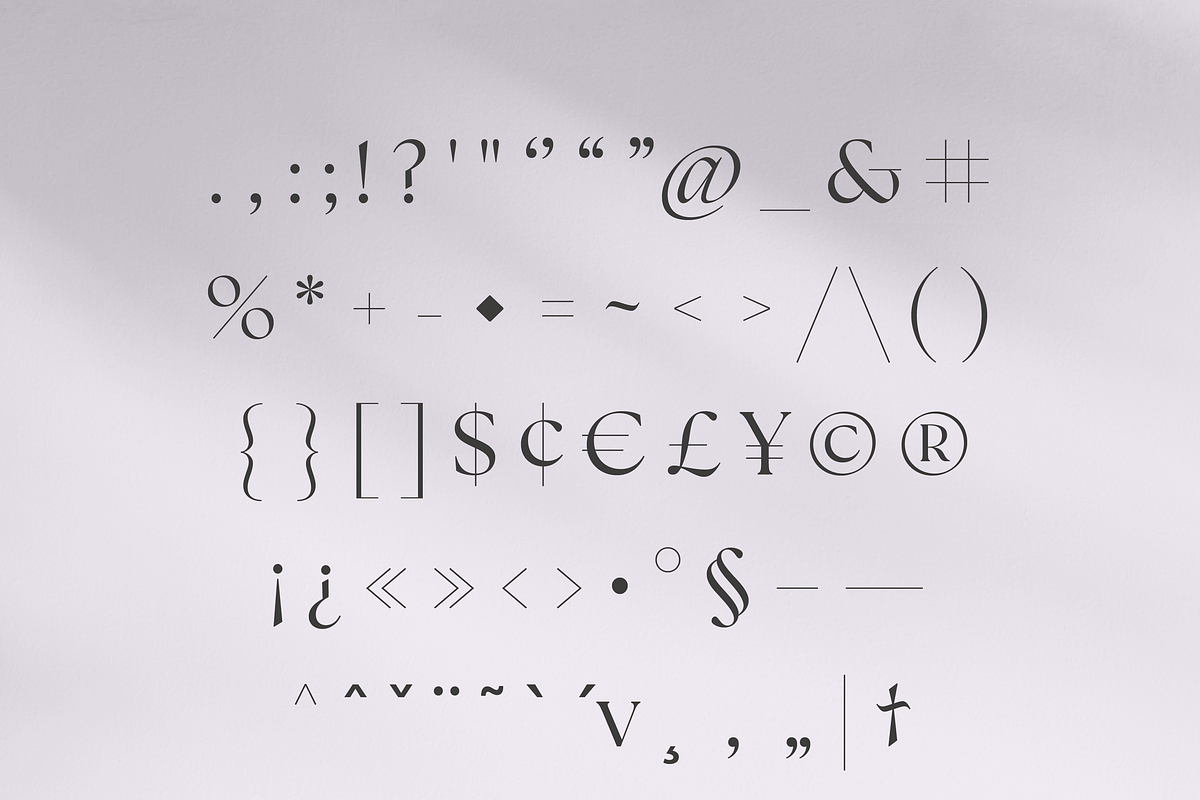 Retro Standard Serif, a Serif Font by Creative Foundry (Photo 8 of 8)