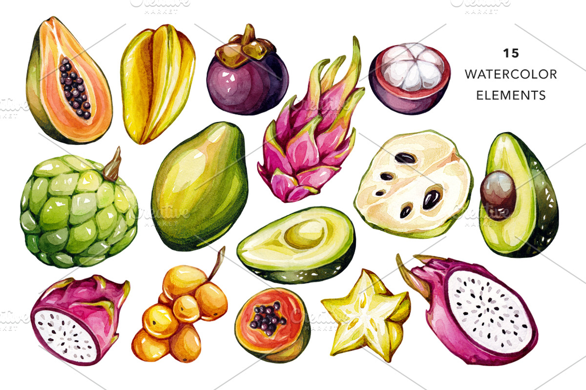 Tropical Fruits, Watercolor, an Illustration by Olga Olmix (Photo 2 of 4)