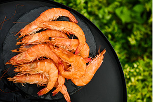 Grilled shrimp on a black grill, a Nature Photo by IlliaBondarPhotography