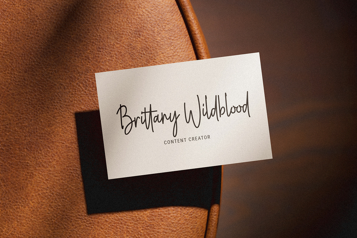Youth Syndicate Signature Font, a Handwritten Font by Heinzel Std (Photo 5 of 22)