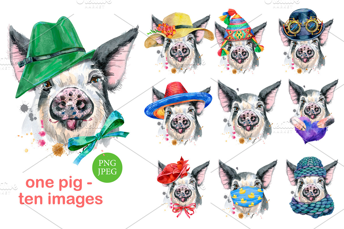 Cute watercolor pig, an Animal Illustration by Watercolor fantasy (Photo 1 of 5)