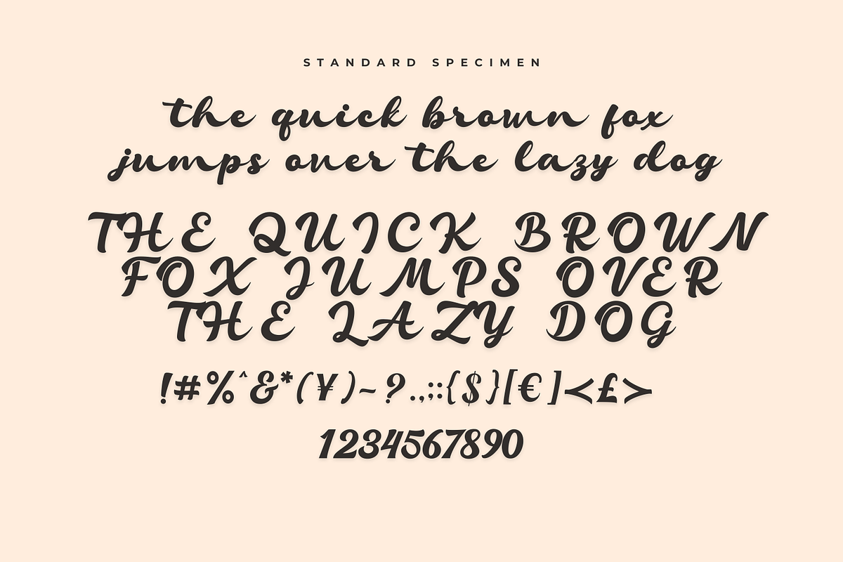 Millane Modern Script Font, a Script Font by Basnistudio (Photo 2 of 12)