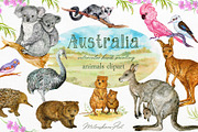 Animals Australia Watercolor, an Animal Illustration by MitrushovaArt (Thumbnail 1 of 10)