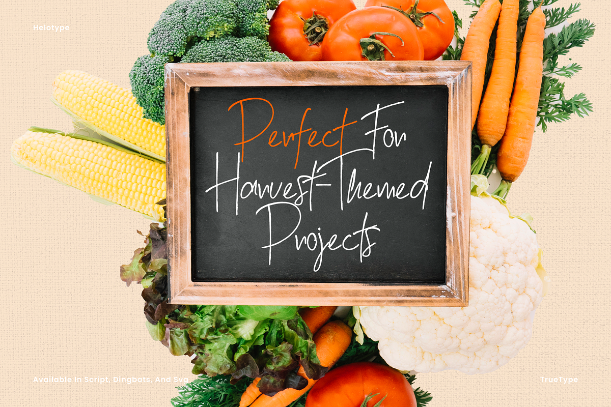 Rustic Harvest Bundle, a Handwritten Font by Helotype (Photo 6 of 7)