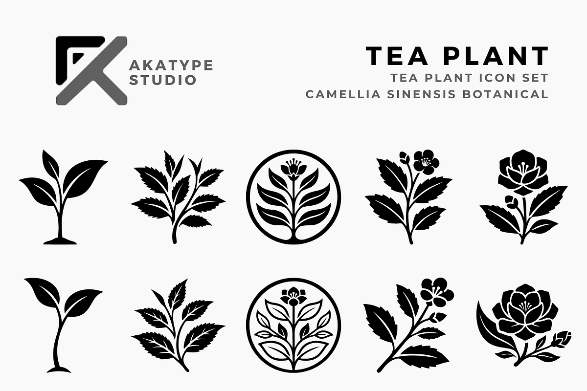 Tea Plant Icon Collection, a Solid Icon by Akatype Studio (Photo 1 of 3)