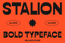 Stalion Bold Typeface