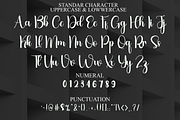 Welcome, a Handwritten Font by FreshTypeINK (Thumbnail 4 of 8)