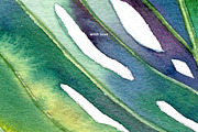 Single Jungle Leaf, a Decorative Illustration by Anastasia (Thumbnail 3 of 3)
