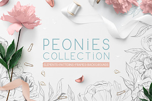 Peonies collection
