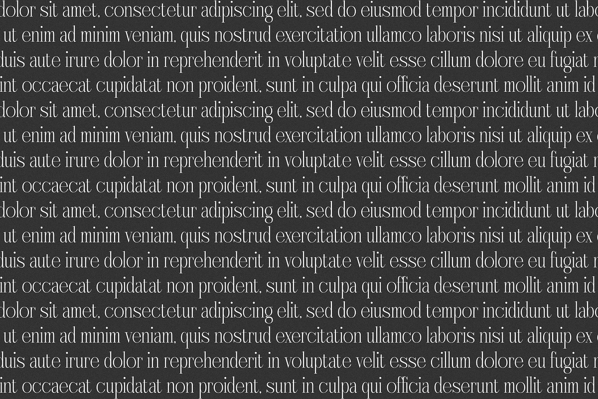 Nebiard Classic Serif Font, a Serif Font by Storytype Studio (Photo 5 of 15)