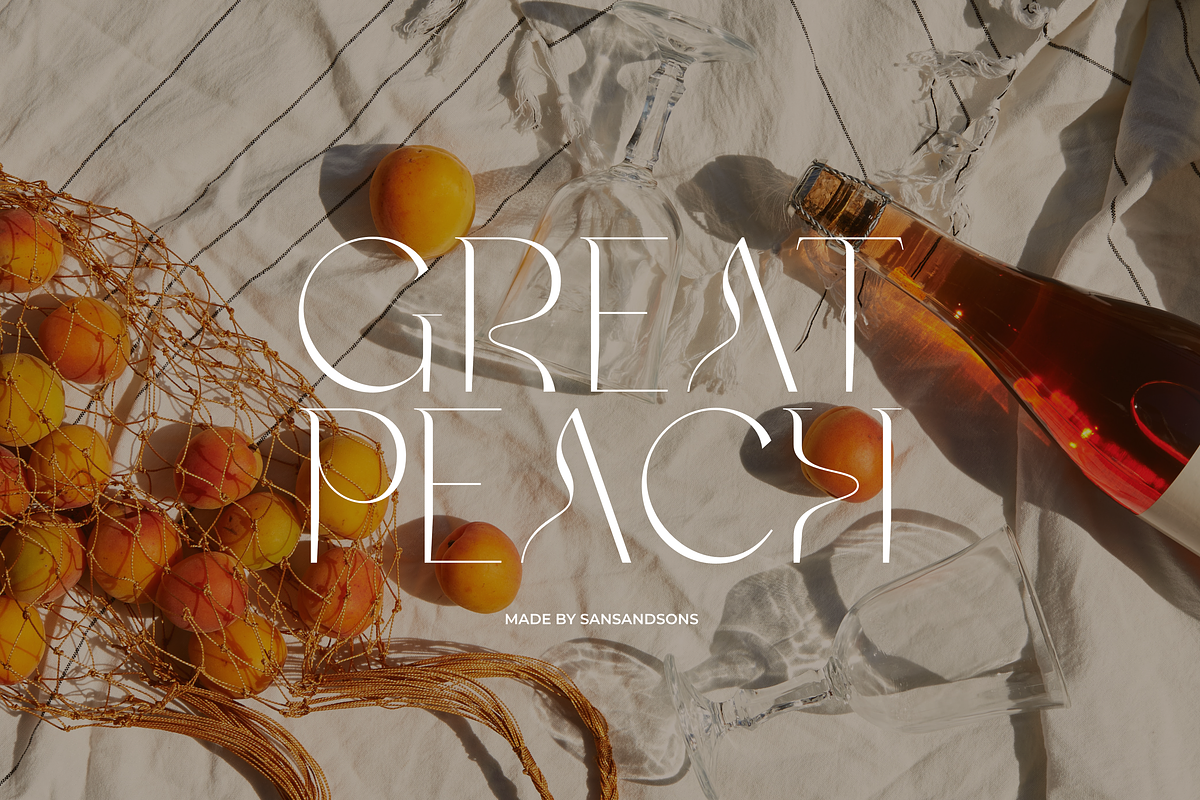 Charis - Moderne Sans, a Sans Serif Font by Sans & Sons (Photo 5 of 7)