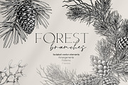 Forest branches, an Object Illustration by Jeanna Draw (Thumbnail 1 of 13)