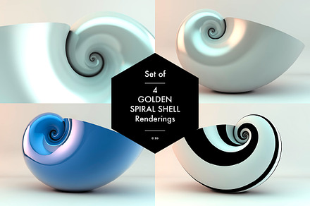 Golden Spiral Shell Set, a Graphic by helloSG