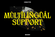 Meginer Nineties - Modern Serif, a Serif Font by Comactype Foundry (Thumbnail 20 of 22)