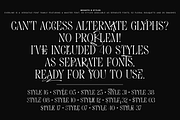 Everline - Luxury Serif Font Family, a Serif Font by VP Fonts (Thumbnail 16 of 22)
