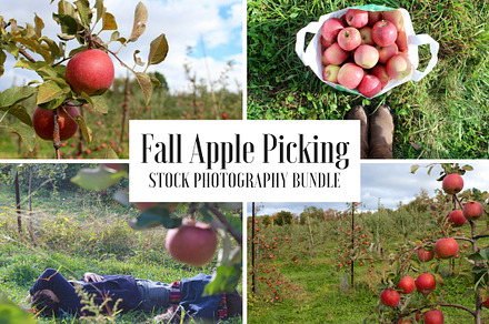 Fall Apple Picking - 10 Stock Photos