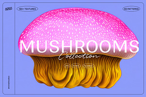 Mushrooms Illustrations