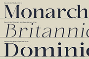 Bonarchi - Family Font, a Serif Font by Rastype (Thumbnail 8 of 10)