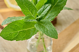 Fresh mint sprigs in a small glass bottle with water, placed on, a Food & Drink Photo by ndanko