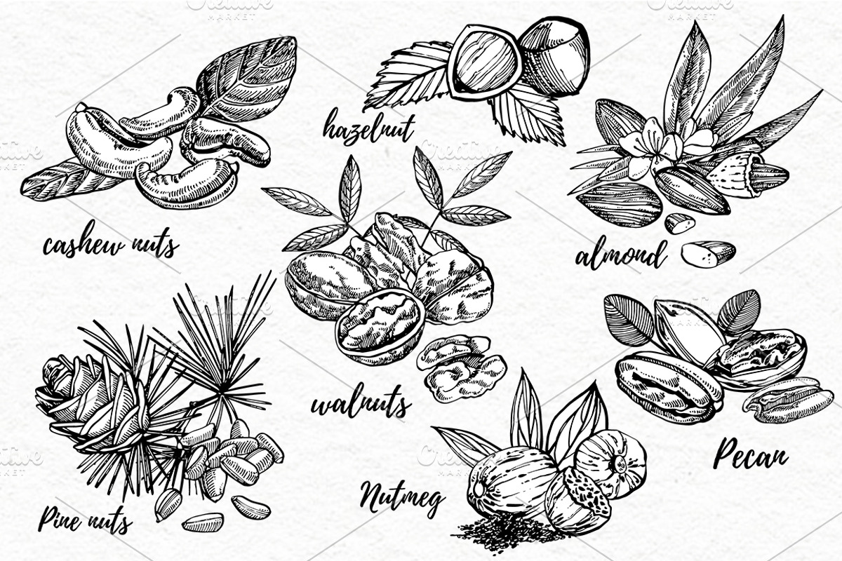 Nuts and snacks, a Food Illustration by Ann Astro (Photo 4 of 24)