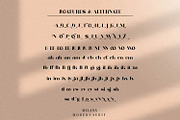 Milans_Typeface Modern Serif, a Serif Font by Penatic Studio (Thumbnail 10 of 11)