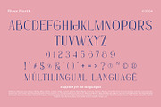River North, a Symbol Font by yumnatype (Thumbnail 10 of 10)