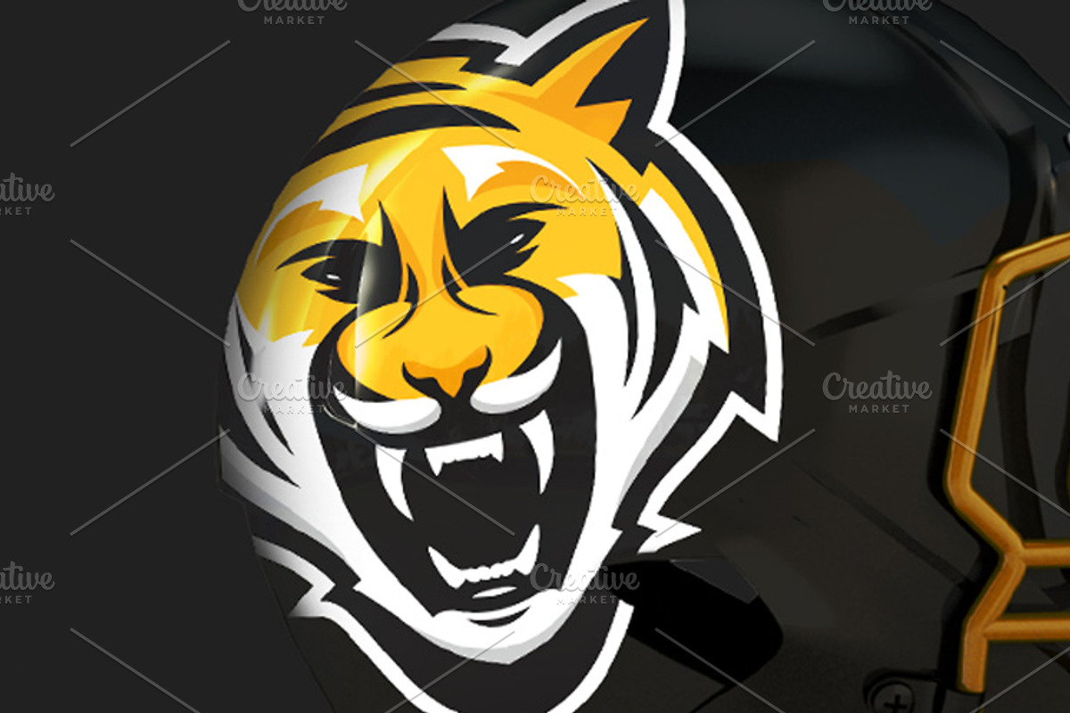 Tiger sport logo, a Branding & Logo Template by 1baranov