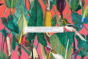 Exotic Tropical Patterns & Motifs, a Pattern Graphic by LEAFure (Thumbnail 9 of 13)