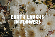 Daisy - Fun Bubbly Display Font, a Font by Minna May Design (Thumbnail 2 of 6)