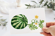 Juicy watermelon, watercolor summer, a Food Illustration by Artmanata (Thumbnail 12 of 12)