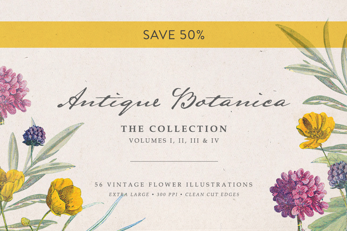 Vintage Flower Illustrations Bundle, an Illustration by Greta Ivy (Photo 1 of 62)