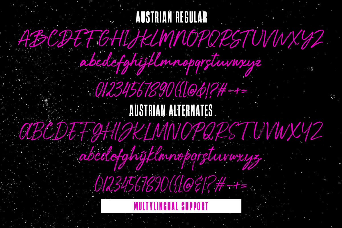 Austrian, a Script Font by Lucky Type (Photo 11 of 12)