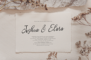 Cafricot Lissendra Script, a Script Font by gracetype_studio (Thumbnail 9 of 12)