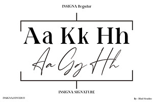 Insigna Font Duo