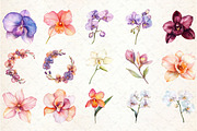 Watercolor Orchid Clipart, an Illustration by Rose Art (Thumbnail 3 of 7)