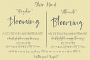 Silver Mind | Handlettered Font, a Script Font by Artstudio (Thumbnail 10 of 10)