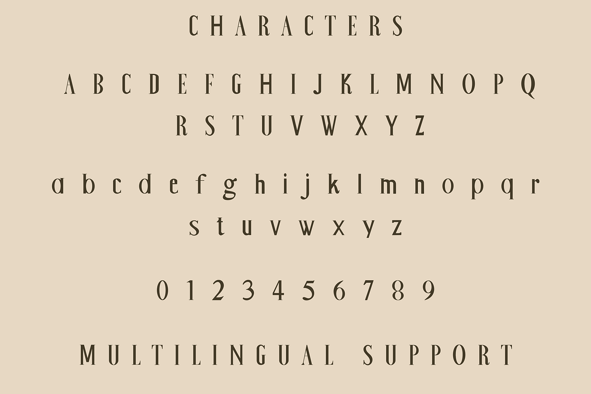 Swiss Wine - Classic Handmade Serif., a Serif Font by Sk designs (Photo 8 of 8)