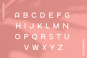 KAELIA - Simple Stylish Typeface, a Sans Serif Font by CCS Type (Thumbnail 14 of 17)