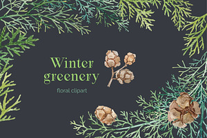 Winter greenery floral clipart