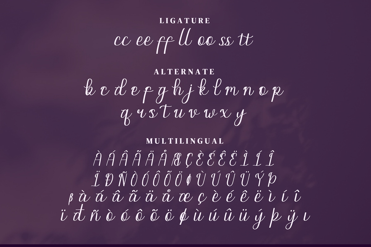Paletta Script Fonts, a Script Font by mahstudios (Photo 13 of 15)
