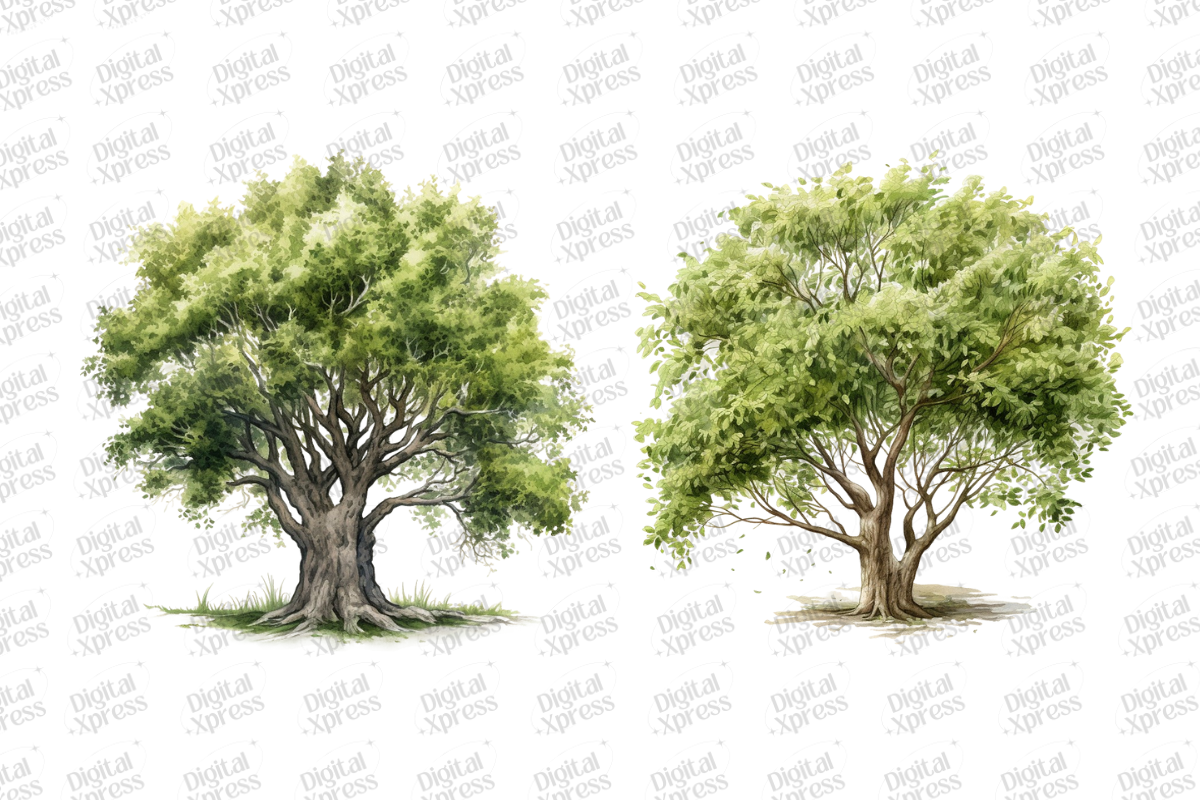Beautiful Dove Clipart, an Object Illustration by Digital Xpress (Photo 6 of 7)