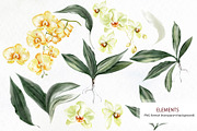 WATERCOLOR ORCHIDS, an Object Graphic by Knopazyzy (Thumbnail 16 of 18)