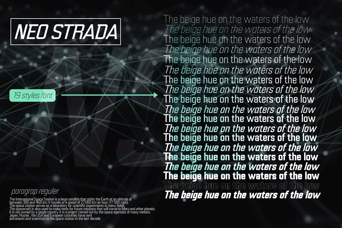 Neo Strada, a Sans Serif Font by Differentialtype (Photo 3 of 9)